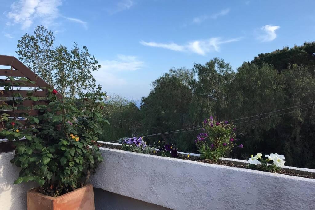 Casita Blanca Con Fibra Optica Y Piscina Cominutaria Villa Tossa de Mar Eksteriør billede